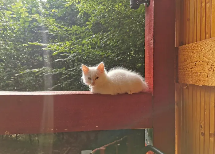 Cabana Lucia