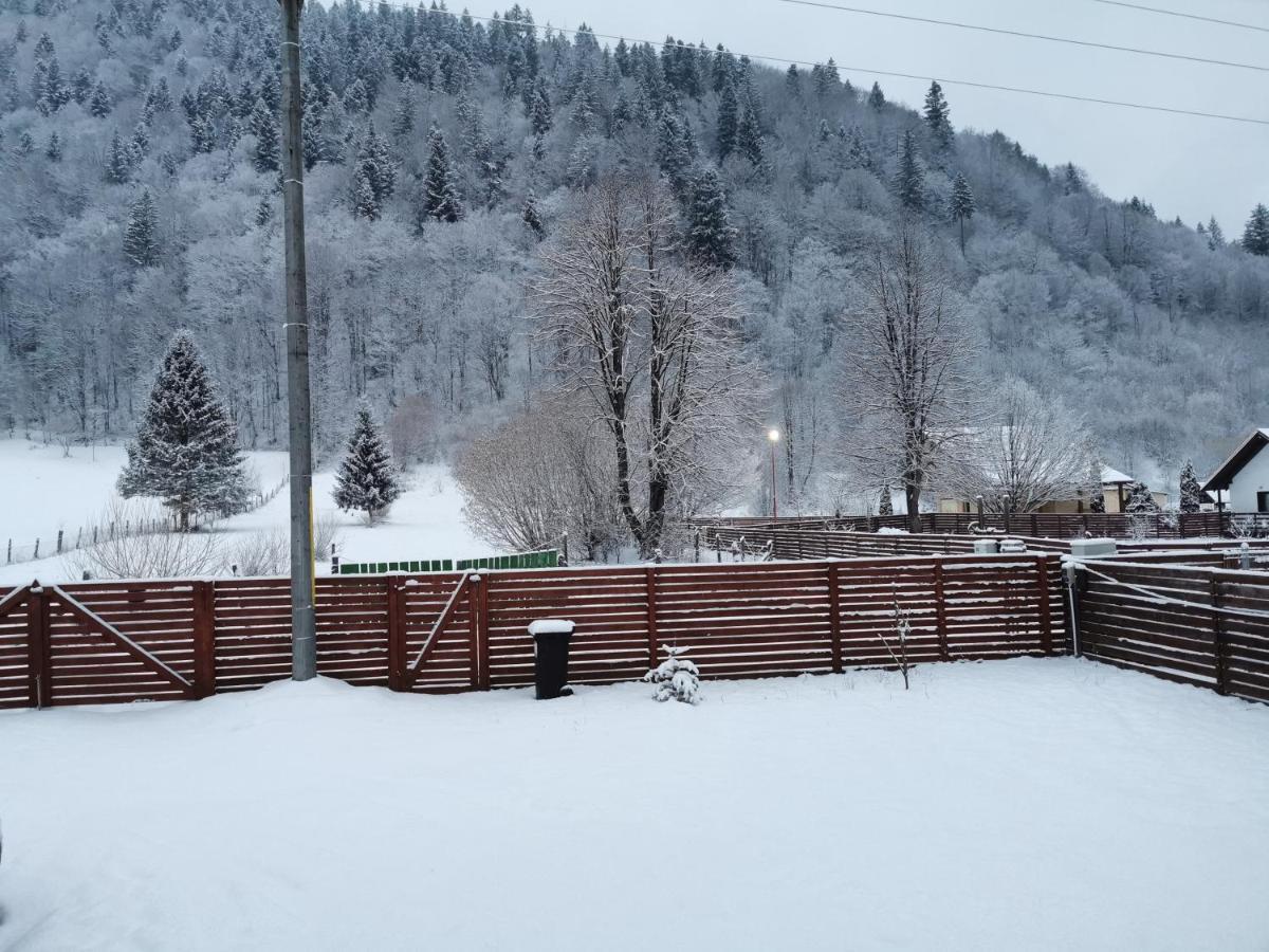 Lucia Lodge