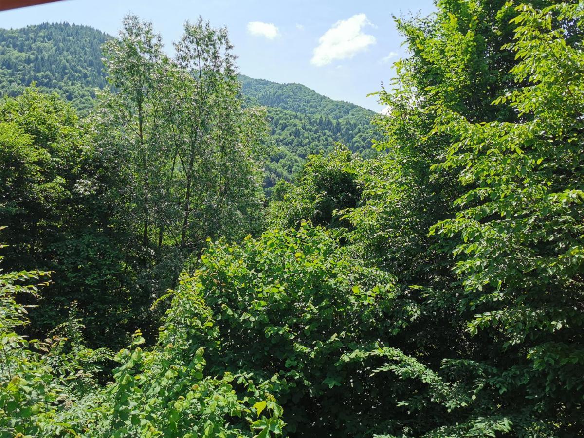 Lodge Lucia Tarcău-Gheuca