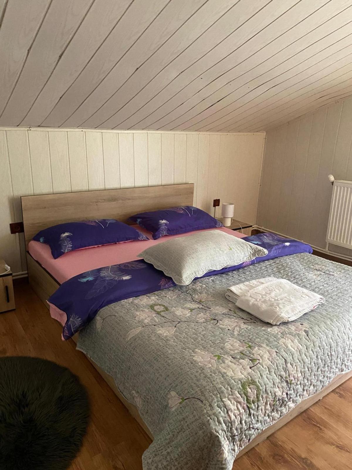 Lucia Lodge Tarcău-Gheuca