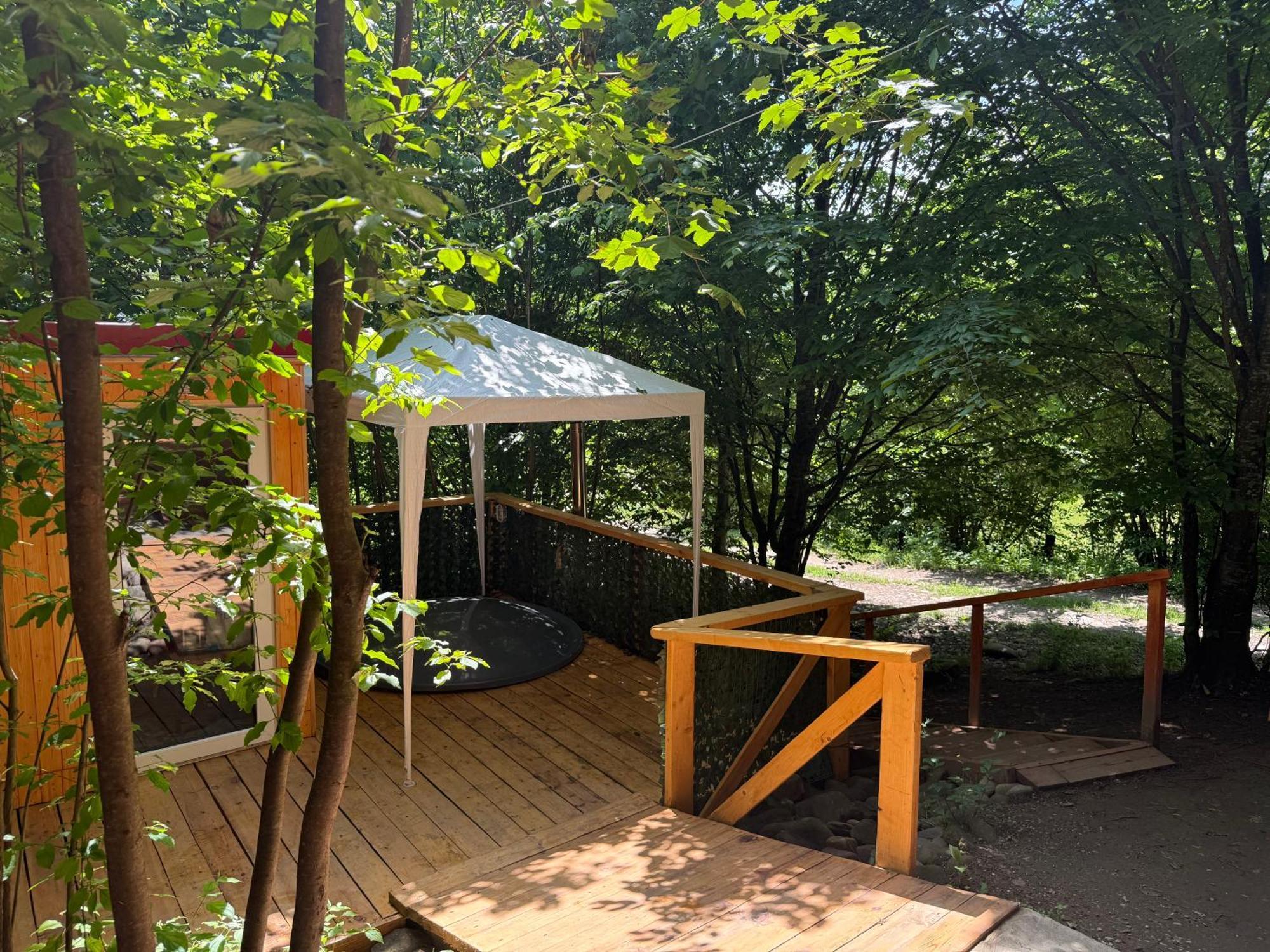 Lucia Lodge Tarcău-Gheuca